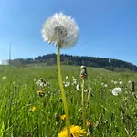 Inn D'etape La Traverse