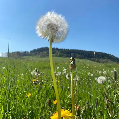 Herberg Gite D'Etape La Traverse