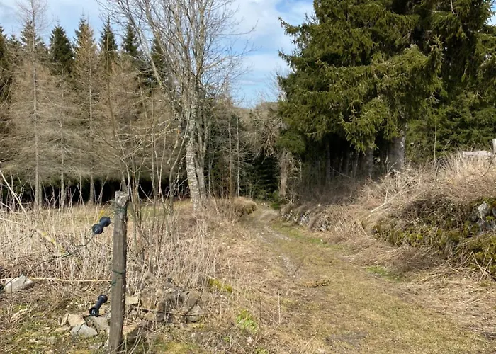 D'etape La Traverse Inn *